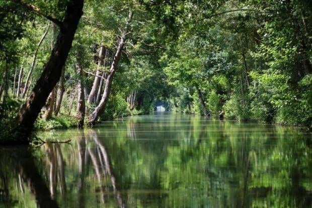 Ocean Campagne Liberte Bed & Breakfast Aigrefeuille-d'Aunis Bagian luar foto